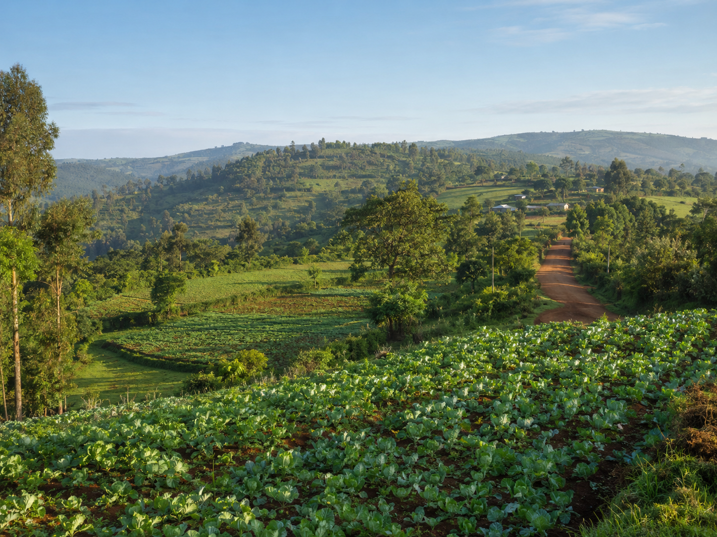 Fertile farmland in Murang'a